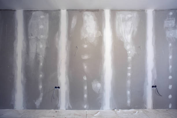 Best Ceiling Drywall Installation  in Morrice, MI